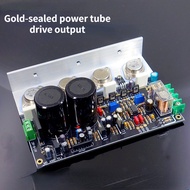 M5 2022 Version Golden Seal Drive Class A Power Amplifier Board Upgradable Super LM1875 HD1969