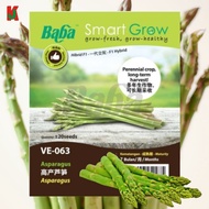 "BABA"  vegetables fruit seed  VE-063  10GM蔬菜瓜果种子 (Asparagus)