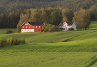 Large farmhouse with wood fired pizza oven Nome, Telemark, Norway