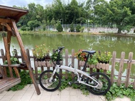 TERN Verge P10。20吋10速摺疊單車。油碟剎. 有單、2020年