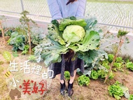 住宿 《The Green House》田園風光—烏山頭水庫 親水公園「夏天玩水趣」6~12人超大空間包棟 官田區, 台南市, 台灣地區