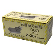 單投閘刀開關2P30A