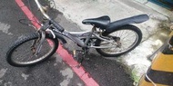 GIANT 捷安特 YJ250 20吋 兒童車
