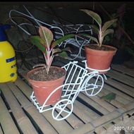 Rak pot besi mini becak