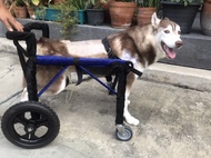 วีลแชร์สุนัข พิการขาหลัง ขนาดไซส์ L สัตว์เลี้ยง รถเข็น wheelchair dog**ติดต่อร้านค้าก่อนสั่งซื้อ**โดยสัตวแพทย์