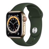 Apple Watch Series 6 (GPS+行動網路) 40 公釐不鏽鋼錶殼搭配運動型錶帶