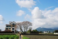 住宿 稻香緣民宿(6人就可包棟,有電梯,停車場,山景)