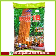 BENIH JAGUNG BISI 18