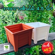 กระถางแคคตัส กระถางต้นไม้ 4.5 นิ้ว กระถางไม้อวบน้ำ กระถางพลาสติกสี่เหลี่ยม เซ็ต 4 ฟรี 1
