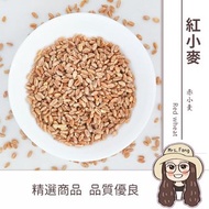 【日生元】紅小麥 600 g 雜糧米 小麥 小麥草 鸚鵡 倉鼠 飼料
