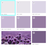 [miniHouse] JOTUN Interior Paint, (Purple Tone) Colour Collection, Majestic True Beauty Sheen, Cat Kilat Dinding Dalam