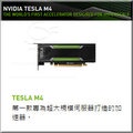 NVIDIA TESLA M4 - 第一款專為超大規模伺服器打造的加速器。 (歡迎詢價)
