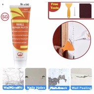 [SG Stock] Wall Repair Putty Kit (Free Tools), Gap Filler, Quickly Repair Wall Damages, Floor Wall Grouts Grout Cleaner