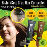 Japan Rishiri Natural Kelp Grey Hair Concealer- Point Hair Colour 50g