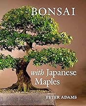 Bonsai with Japanese Maples