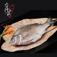 【台灣好漁】貴妃魚(澳洲銀鱸國寶魚)(10入,再9折每入291.6元)