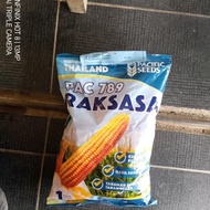 benih jagung hibrida PAC 789 RAKSASA 1kg