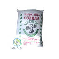 Pupuk KCL Cotran 50kg