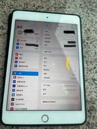 iPad mini 5 64G WIFI