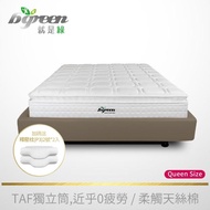 【bgreen】雙11特惠★水平律動舒眠床Queen Size(BM1)