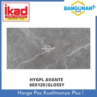 GRANIT 60X120 IKAD HYGPL AVANTE
