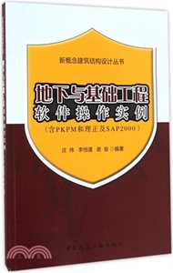 1089.地下與基礎工程軟件操作實例(含PKPM和理正及SAP2000)(簡體書) 莊偉;李恆;謝俊