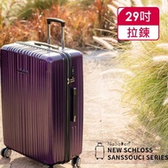 【NaSaDen 納莎登】新無憂系列TSA海關鎖29吋霧面防刮行李箱(普倫紫)