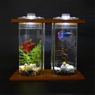 LED Light Dual Clear Glass Betta Aquarium Fish Tank Bamboo Shelf Home Office