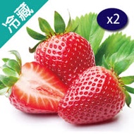 日本草莓2盒/箱X2(2盒/約500克/16-20顆/盒)