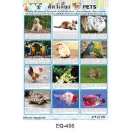 Pet poster EQ-456 art paper poster Teaching materials Learning materials