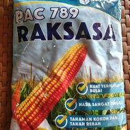 Bibit Jagung Raksasa PAC 789