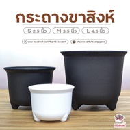 กระถางขาสิงห์ กระถางแคคตัส กระถางกระบองเพชร กระถางไม้อวบน้ำ