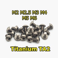 20Pcs Titanium Bolt Hexagonal Socket Allen Ti Screws GR2 M2 M2.5 M3 M4 M5 M6 X 4 5 6 8 10 12 15 20 25 30 35 40 45 50 55 60Mm
