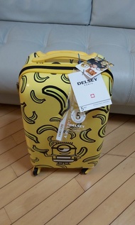 Delsey 21 吋行李喼 cabin  4 wheels trolley suitcase luggage