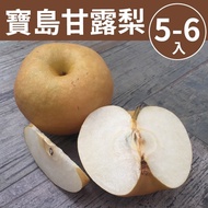【甜露露】寶島甘露梨6入(6-6.5斤)