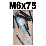 น็อตหัวจมสีดำ ขนาด M6x 8/10/12/14/16/20/25/30/35/40/45/50/55/60/65/70/75/80/90/100/110/120/130