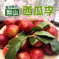 【梨山福慧果園】紅肉西瓜李-大果(5斤±5%/盒)2盒
