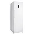 TATUNG大同 冷凍冰箱270L (TR-275SFH)