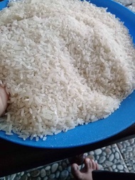beras mapan asli