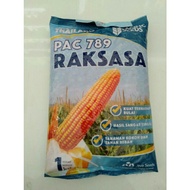 Benih Jagung Hibrida PAC 789 RAKSASA 1KG