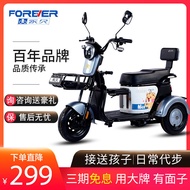 Permanent electric tricycle new elderly elderly car household small pick up children's travel lady electric tricycle