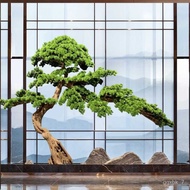 🔥XD.Store Ornaments Customized Welcome Pine Fake Trees Simulation Podocarpus Macrophyllus Pine Beauty Pine Tree Garden N
