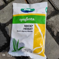 Benih Jagung Hibrida NK017 HEBAT isi1kg dari SYNGENTA
