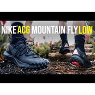 Nike ACG Mountain Fly Low Mens Hiking Shoes