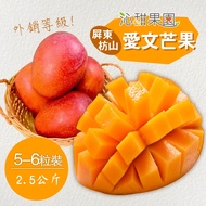 沁甜果園SSN‧外銷等級-屏東枋山愛文芒果(5-6粒裝/2.5公斤)
