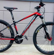 foxter cruising bike
