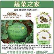 【蔬菜之家】I08.無籽西瓜種子(共有2種包裝可選)
