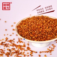 ▤Buckwheat tea Tartary buckwheat tea authentic health tea canned Liangshan bitter mustard tea golden buckwheat tea barle