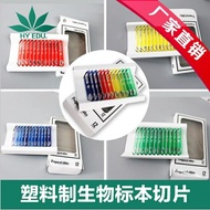 兒童顯微鏡標本切片中小學生生物科學實驗科普安全創意玩具 母親節禮物