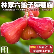 【果農直配】六龜子彈蓮霧2kg/箱(中顆14-17入)
